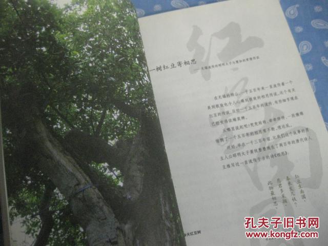 红豆生南国简谱_红豆生南国
