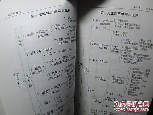 (山西省汾阳县)《南广城村志》(附:宋姓家族,王姓家族