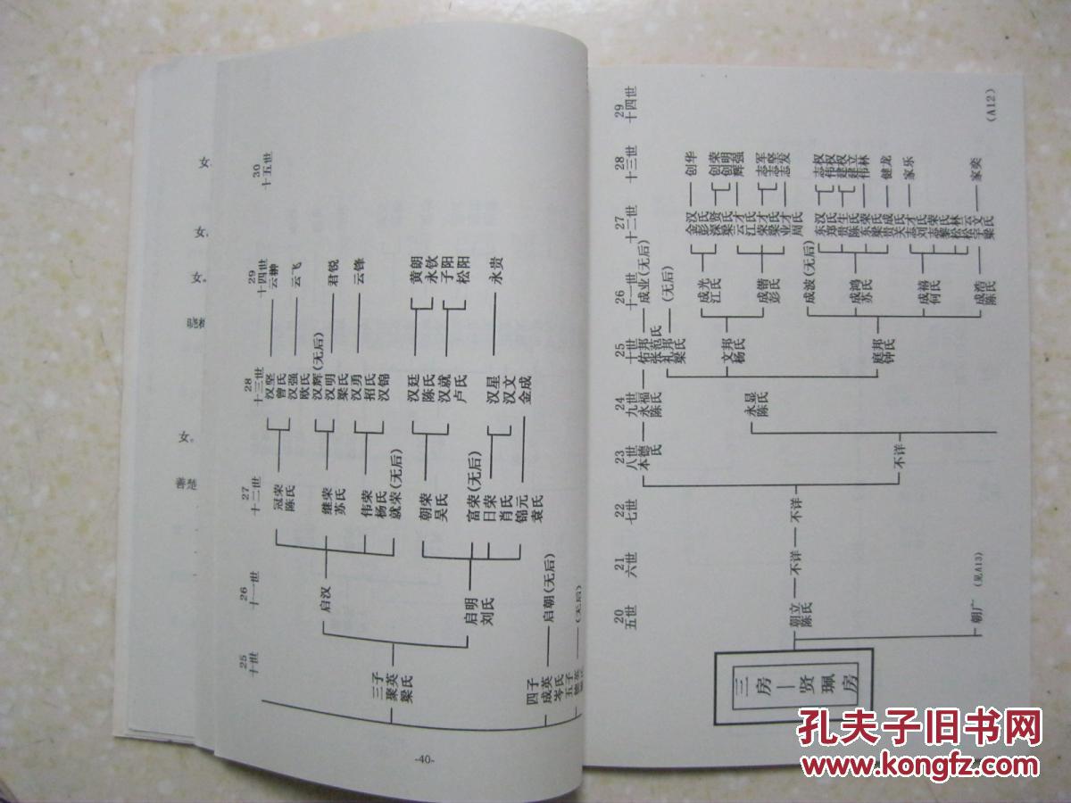 山西孙氏人口_山西人口密度分布图(2)