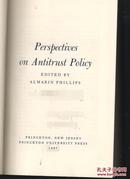 perspective on  antitrust policy