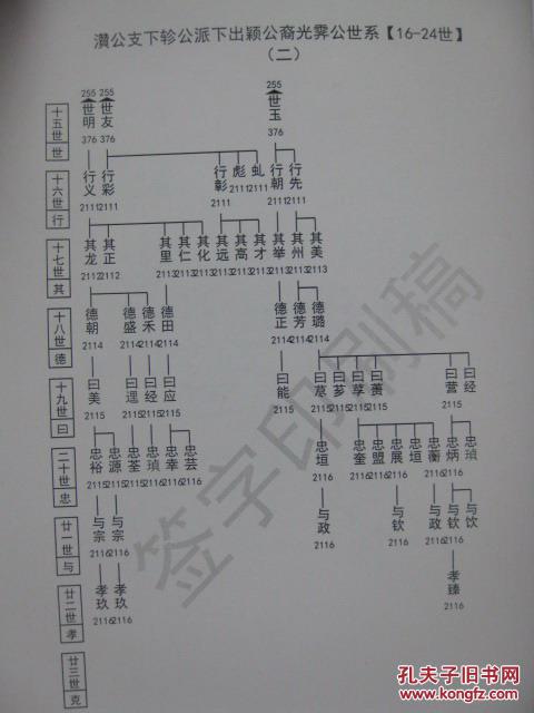 家谱宗谱族谱类:安徽省枞阳县左氏宗谱[卷五 瓒公支下轸公派下出颖公