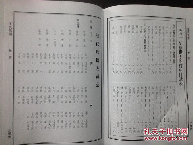 龙口王氏族谱(三槐堂)(河南扶沟,安徽太和)