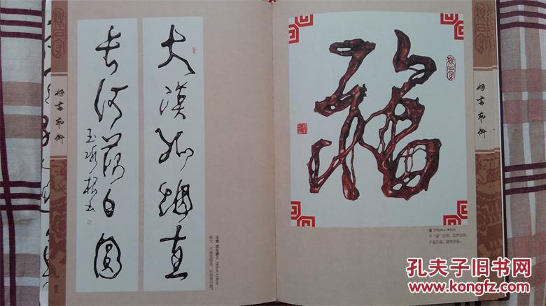 根书艺术杨玉冰根书法集