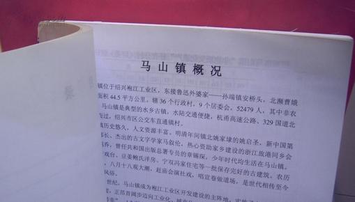 马山镇人口查询_荆州区财政与编制政务公开网