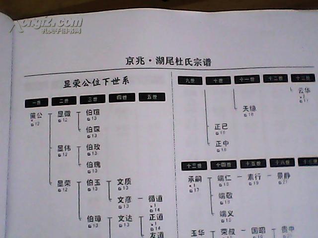 京兆.湖尾杜氏宗谱.人丁谱卷五.大16开巨厚