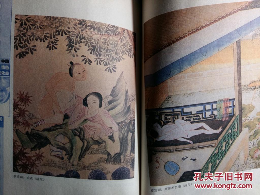 帝王淫乱,男风,古代房中术,秘戏,房中理论,宗教与性,性文学 中国情色