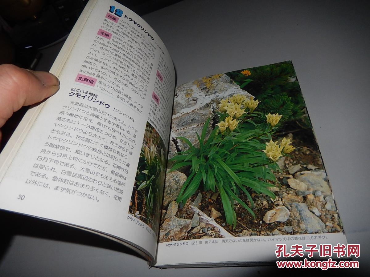 【图】高山植物基本50 日文原版 馆藏_价格:20