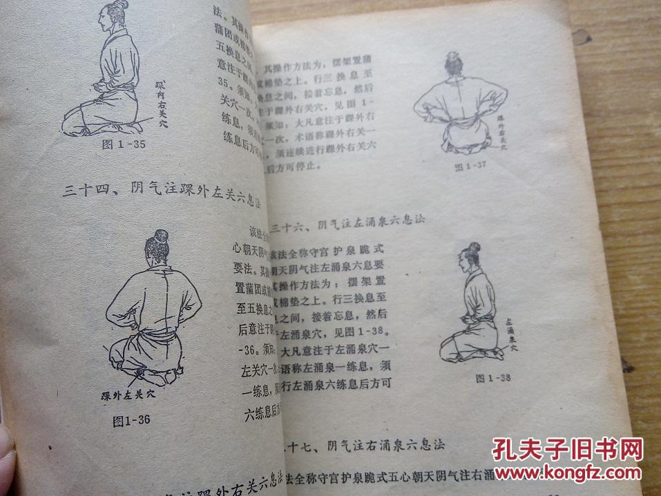 地煞小周天(功家秘法宝藏,卷一,软性气功)【品相差 书