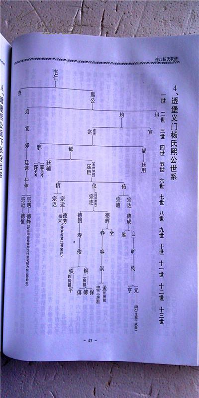 家谱----杨氏联谱福建省连江支 大16开 精装 印800本