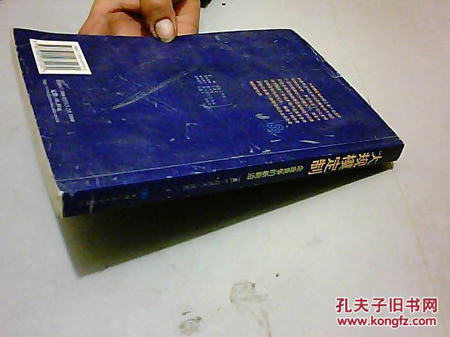 【图】大规模定制:企业竞争的新前沿_价格:10