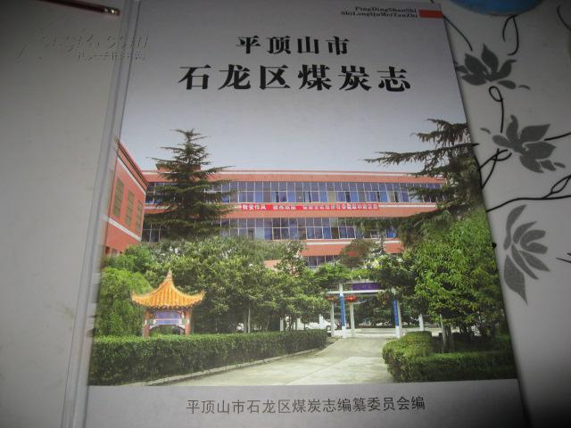 平顶山市石龙区煤炭志
