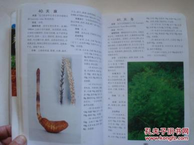 采药简谱_采药姑娘上山来 对照
