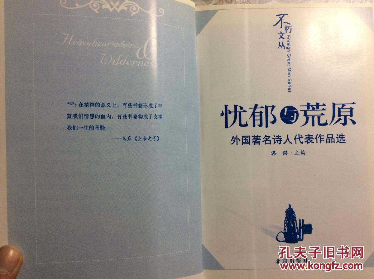 忧郁与荒原(外国著明诗人代表作品选)