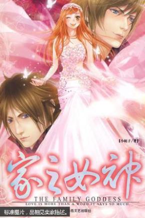 家之女神_简介_作者:小妮子著_北岳文艺出版社