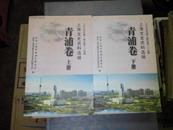 上海文史资料选辑--青浦卷 （上下册）----5折