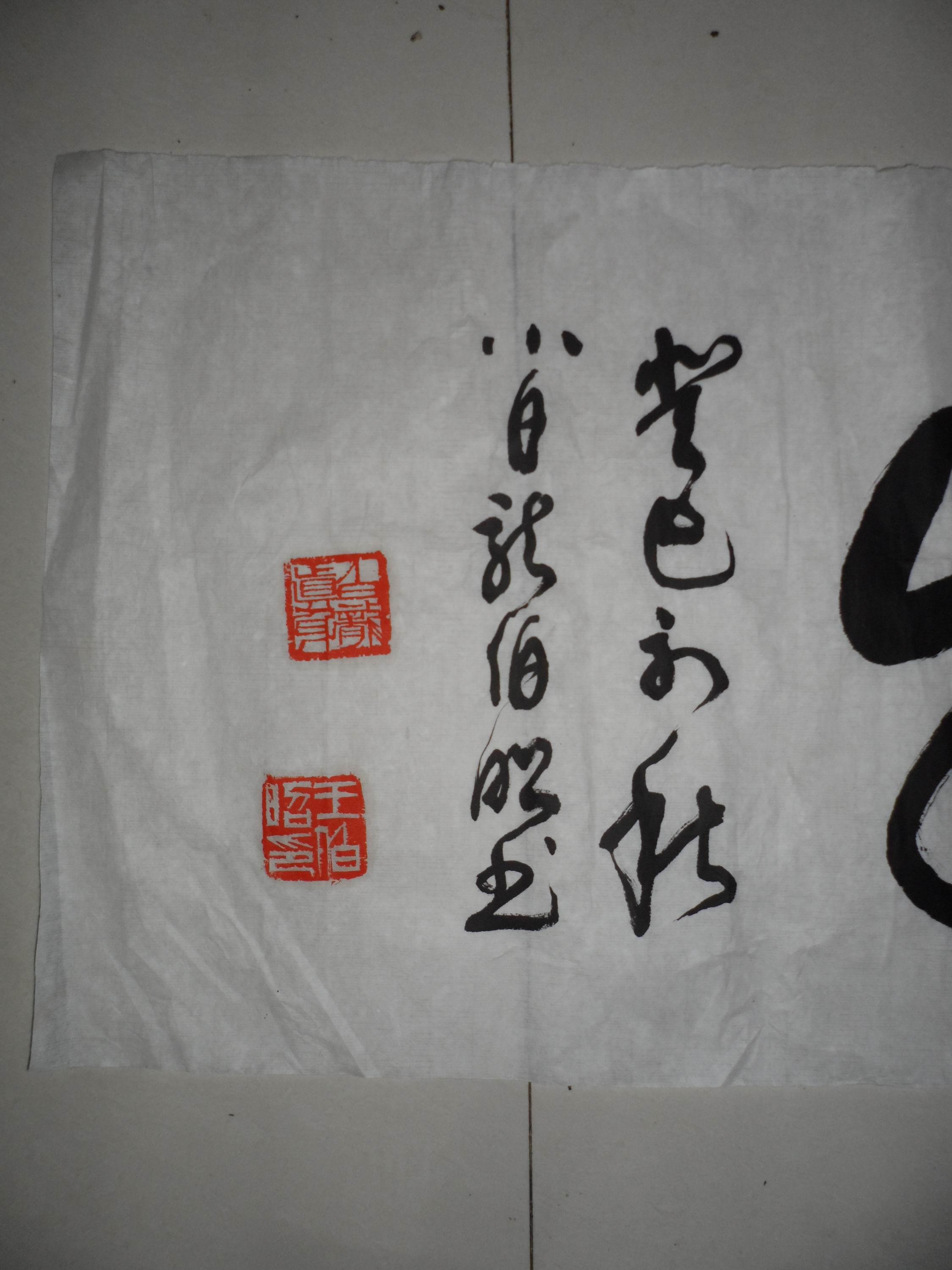 小白龙王伯昭书法作品之4