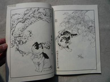 百猫谱