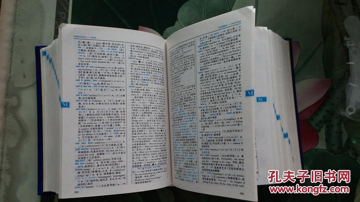 学生实用英汉大词典