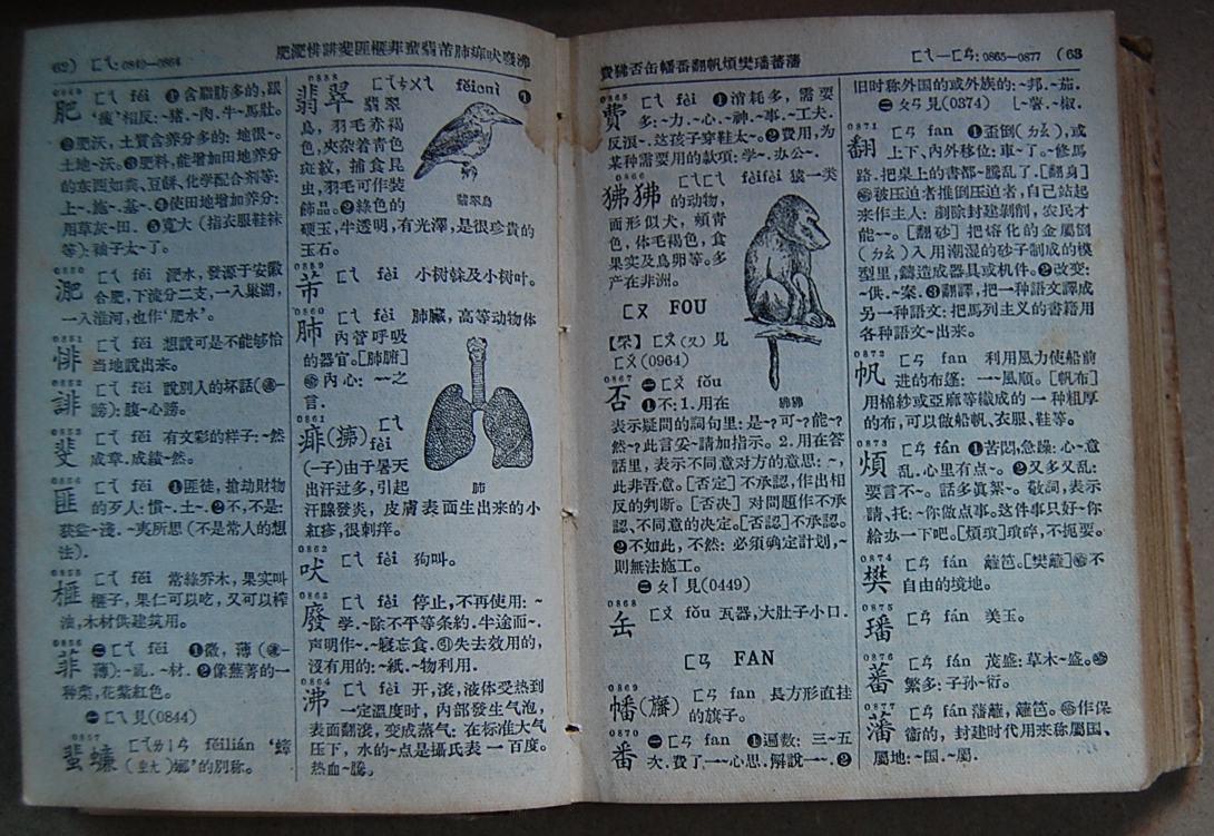 布脊精装本新华字典1957年修订1957年改定注音1957年新一版大量配图有