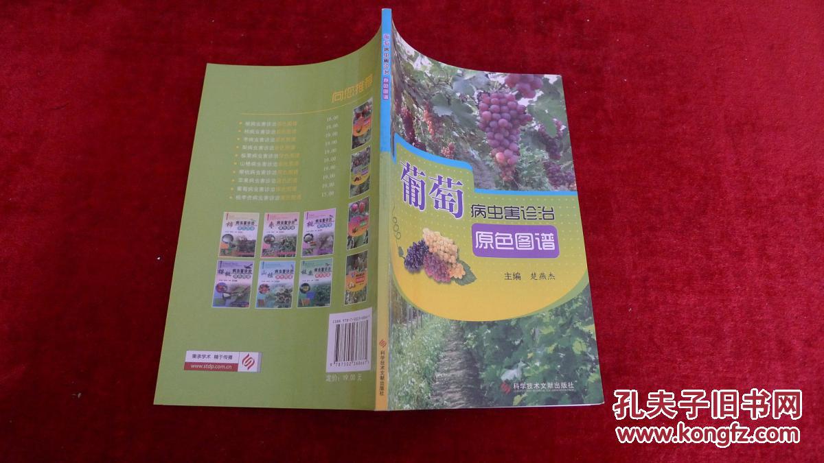 【图】葡萄病虫害诊治原色图谱 书品如图 200克