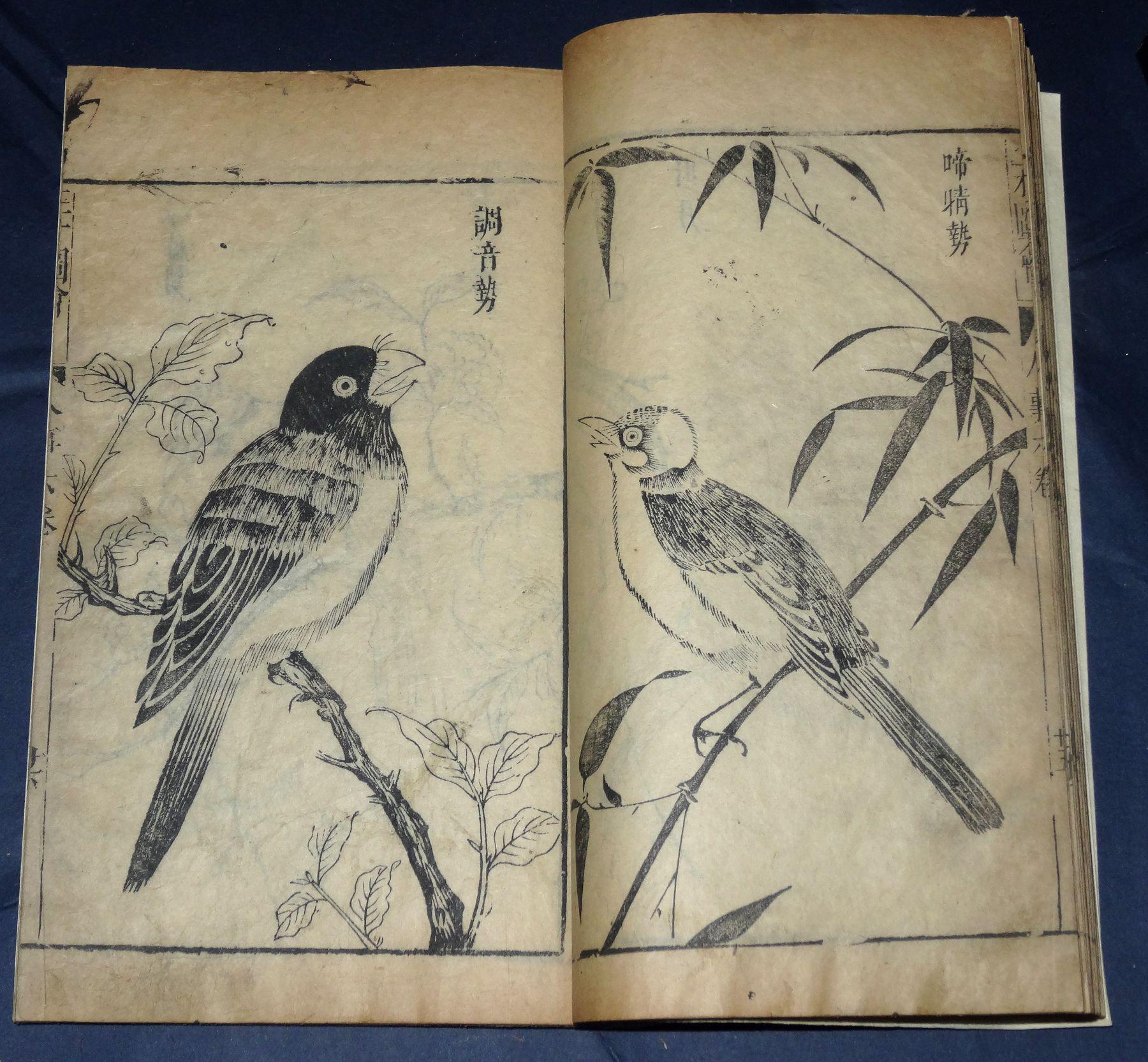 《三才图会》人事卷六,其中37页74面明代花卉,花鸟版画几十幅,明版画