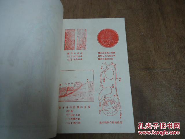 【图】现代初中教科书 生理卫生学_价格:2000