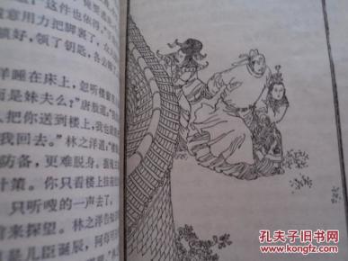 镜花缘(删节本,赵仁年插图20幅)