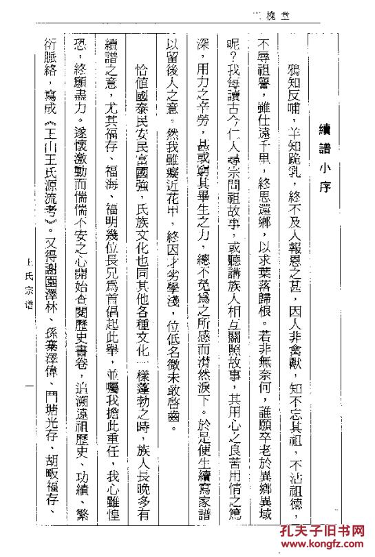 家谱----王氏宗谱【三槐堂】河南光山亨公支 16开 78页 2006年版 原件