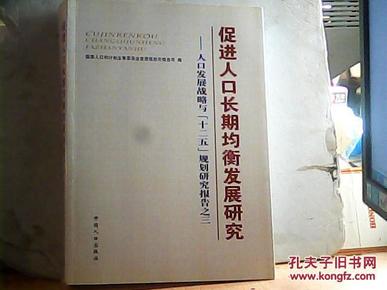 人口发展战略研究报告_人口发展模式图(2)