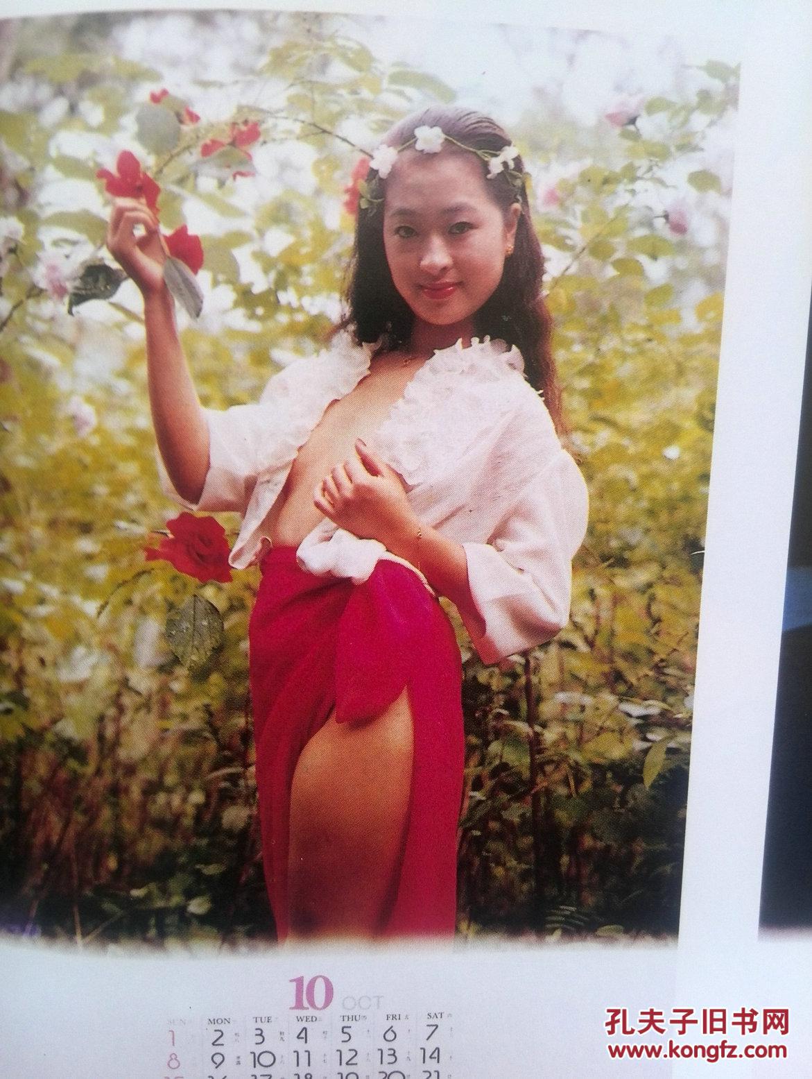 1995挂历,浙江摄影出版社.全铜版,泳装美女,风景,盆景,领袖,家居等