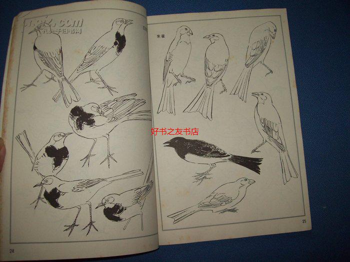 百鸟图谱-16开96年一版一印