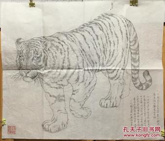 白虎图(铅笔画) 印章"神威长存" 46.5*54.