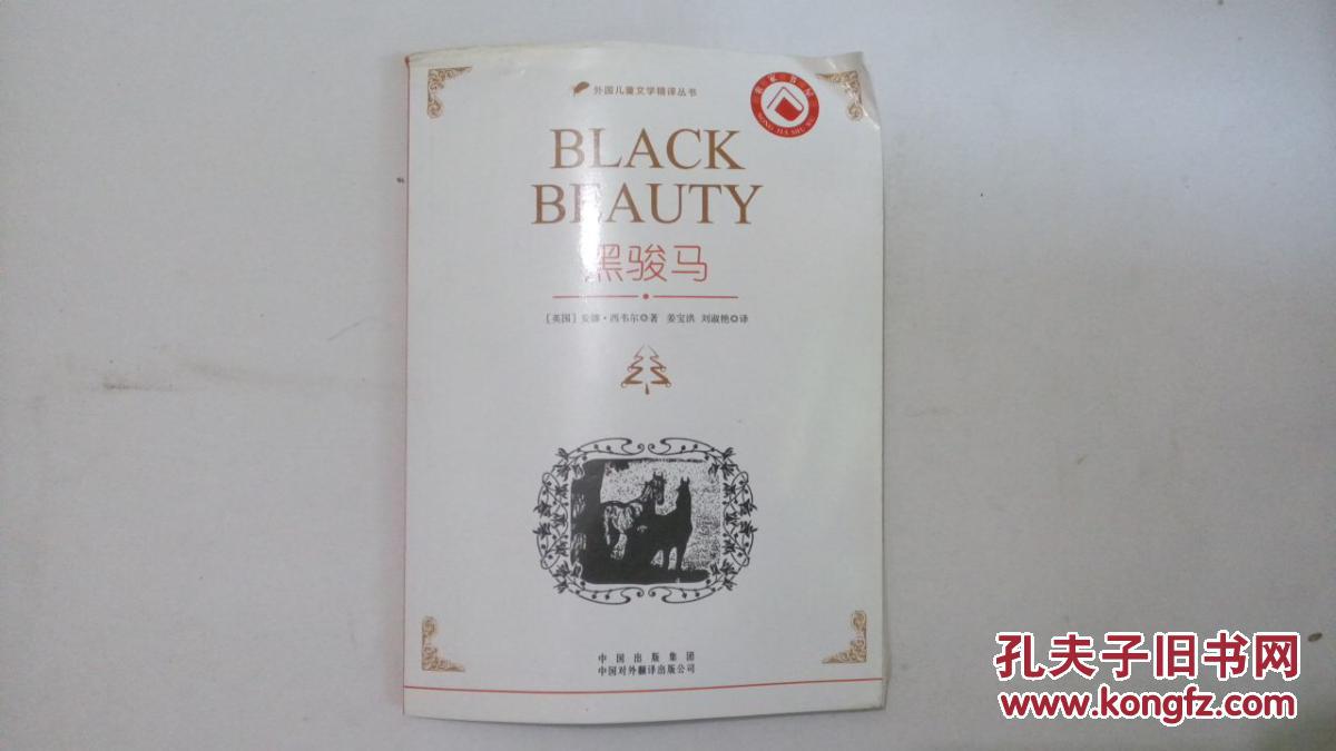 黑骏马