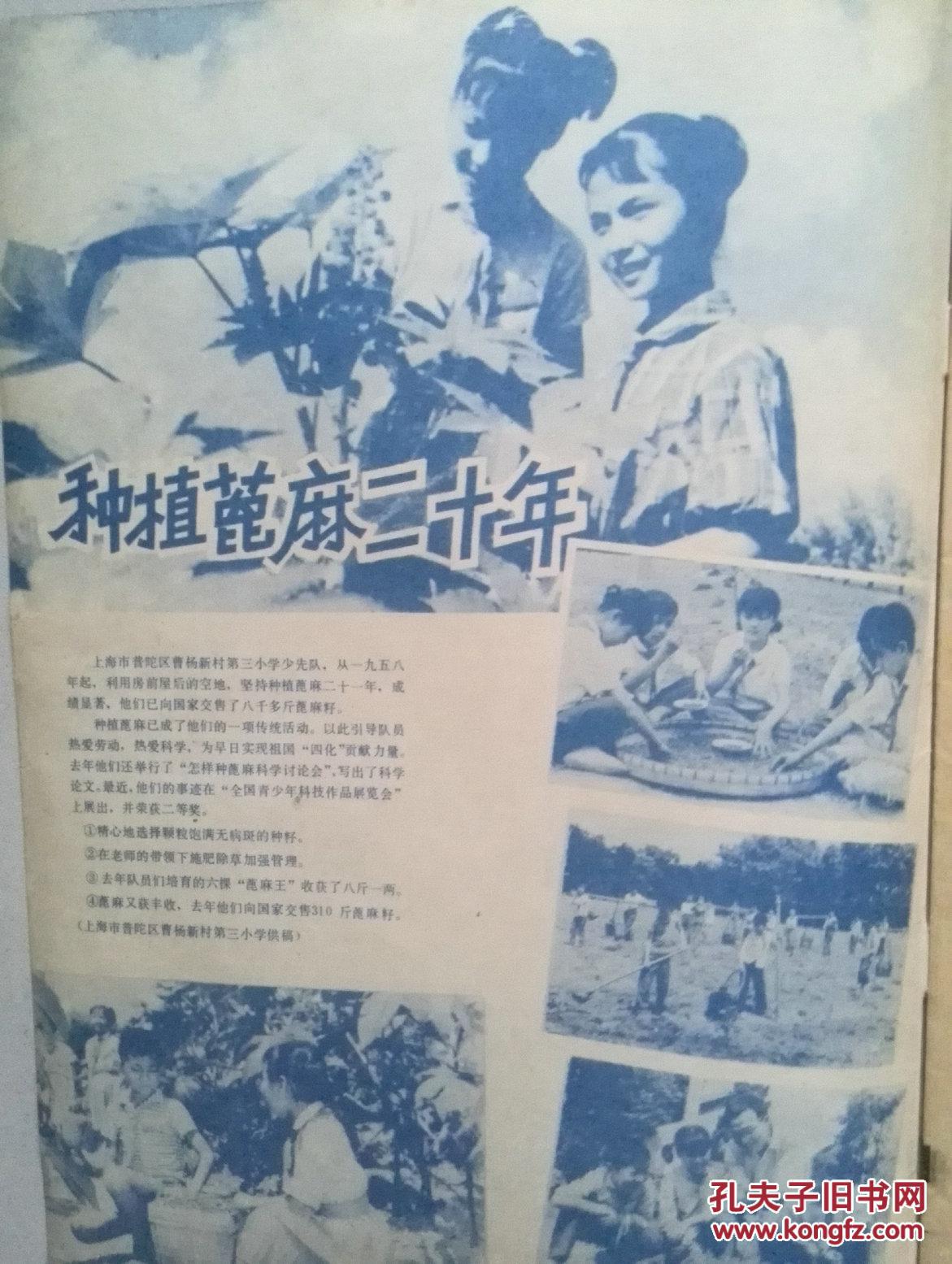 【图】辅导员1980年第2期,封面董兆惠水粉画