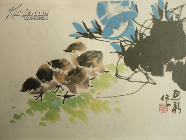 画小鸡