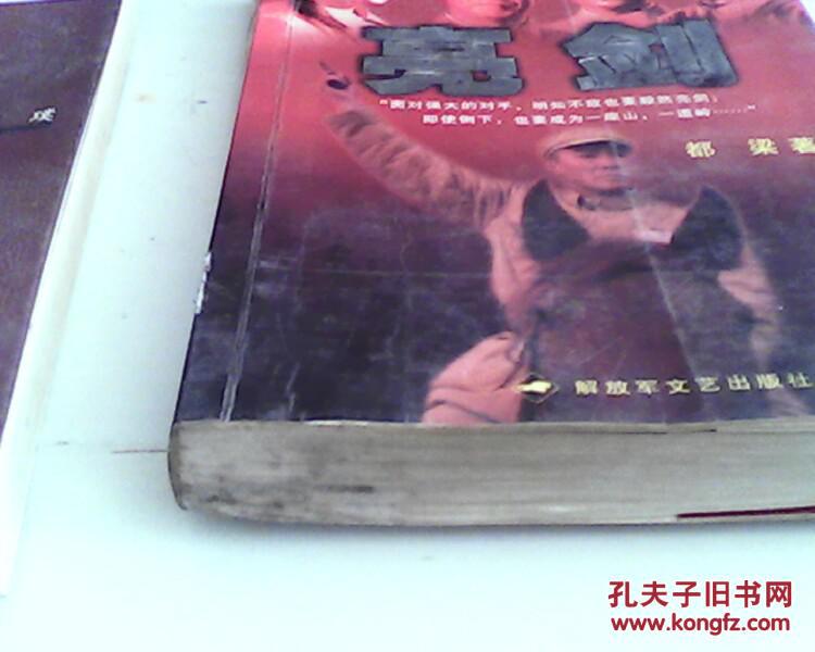 【图】亮剑 都梁著 解放军文艺出版社_价格:8.