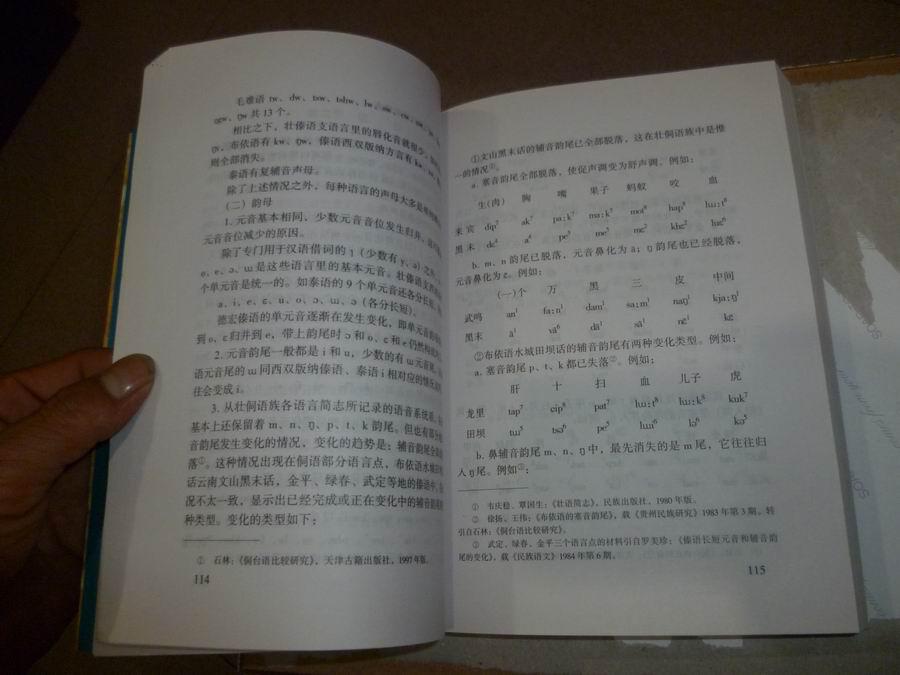 云南少数民族语言文字概论