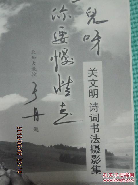 马儿慢些走曲谱_马儿你慢些走歌词曲谱(3)