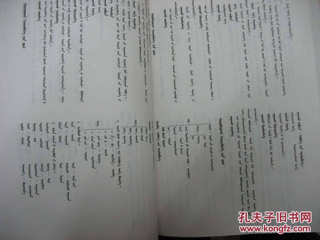 蒙古语文教师手册(蒙文版 · 16开精装)