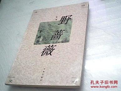 野蔷薇简谱_韩国歌曲野蔷薇花简谱