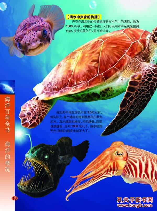 海洋百科全书 正版彩图 精装超大16开 海洋动物 海洋植物 海洋生物