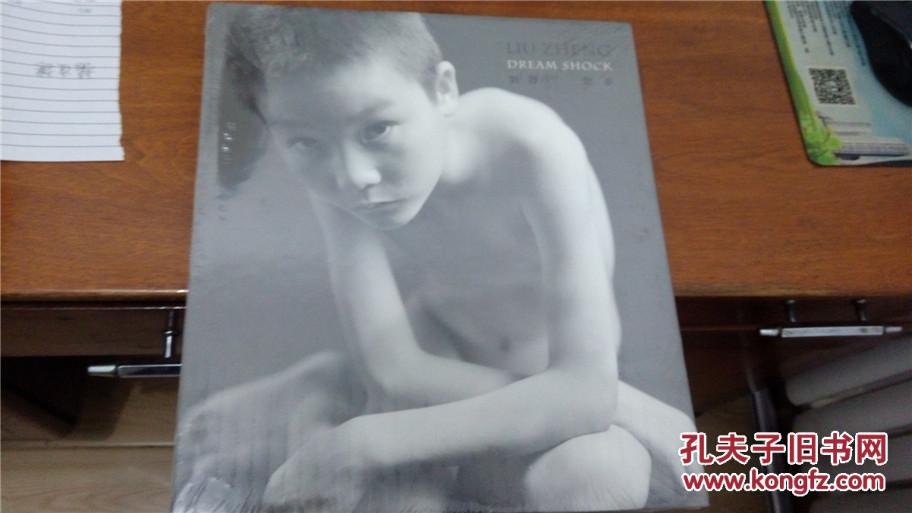 刘铮:惊梦 (中英双语画册)