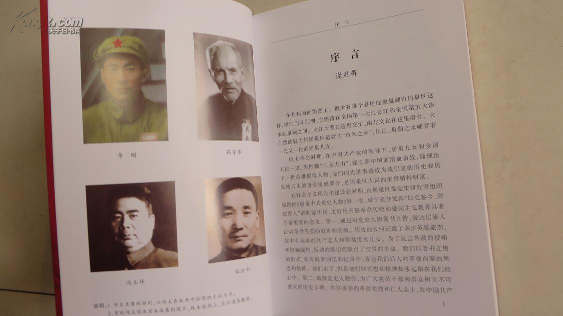 居巢中共党史人物(第一卷)