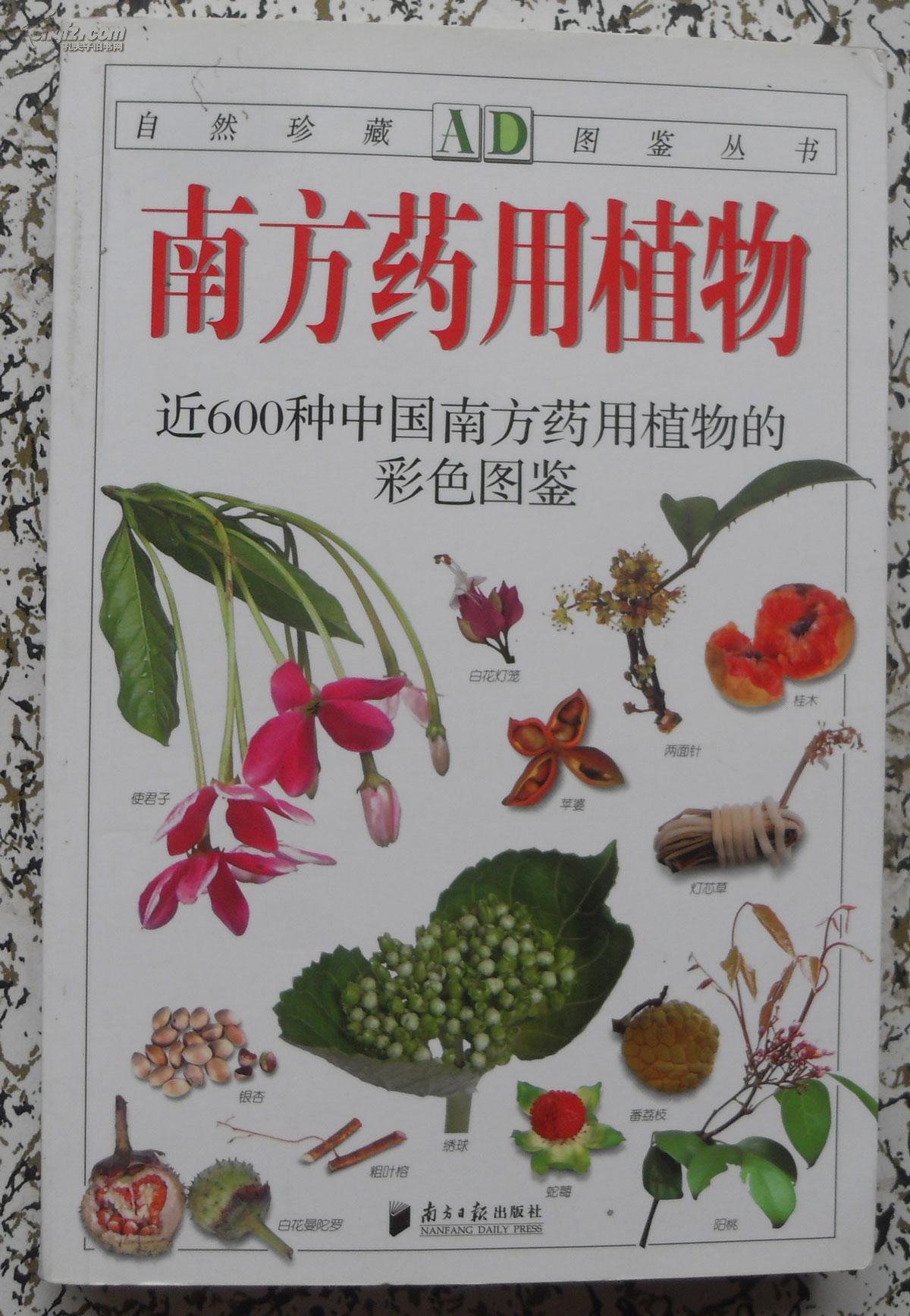 南方药用植物:近600种中国南方药用植物的彩色图鉴(新版 a4-4