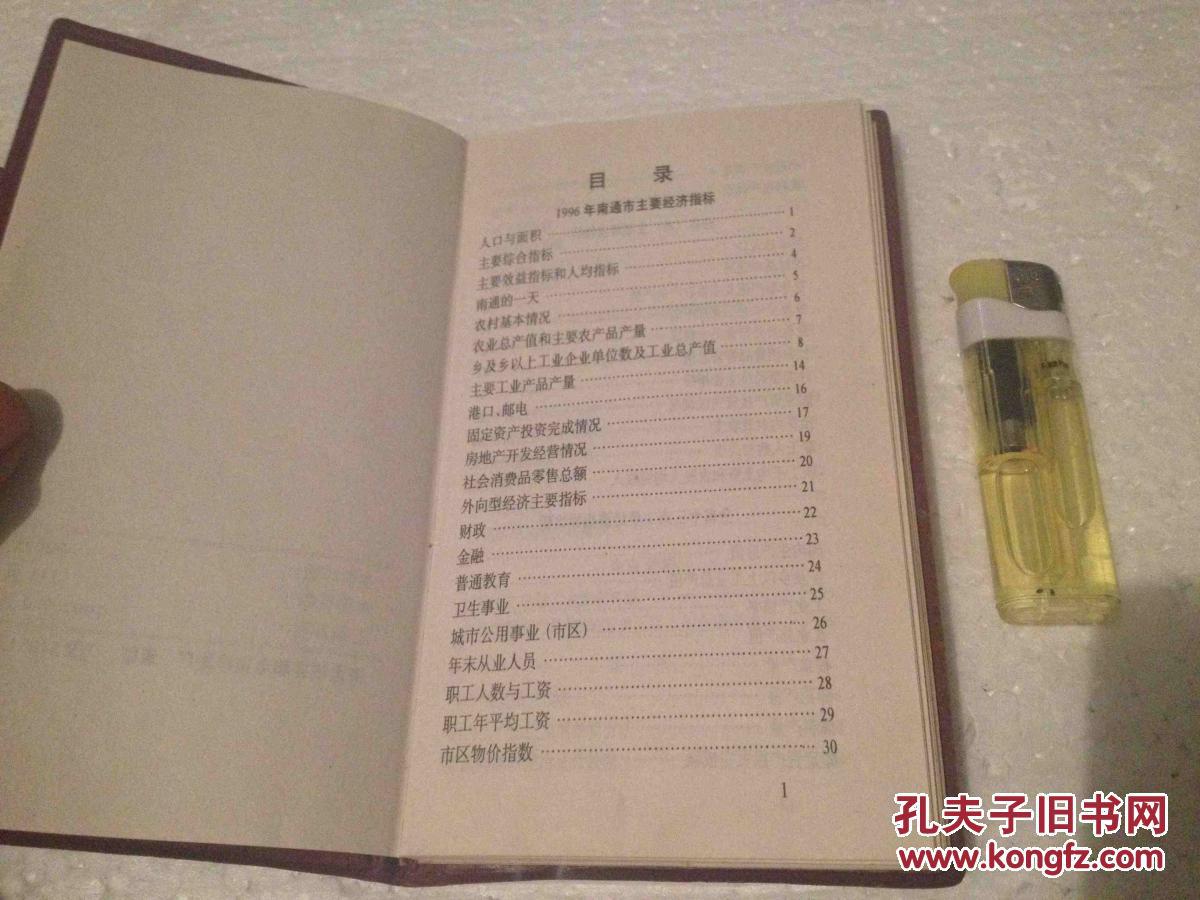 领导干部统计手册 塑面精装 南通市统计局 199