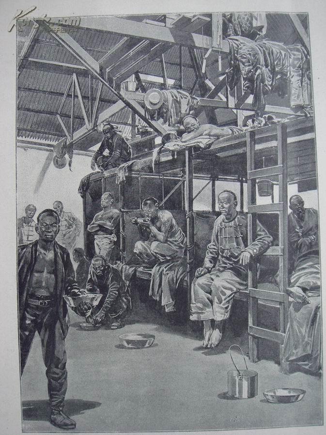百年老画报,1906年,反映中国苦力输出至南非的版画2幅