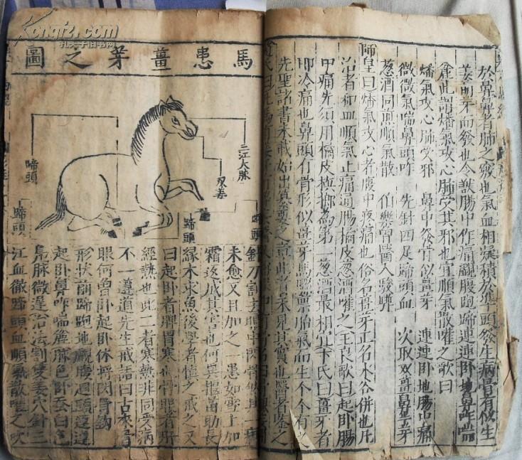 失传珍本(新刊校正纂图类方马经)两卷