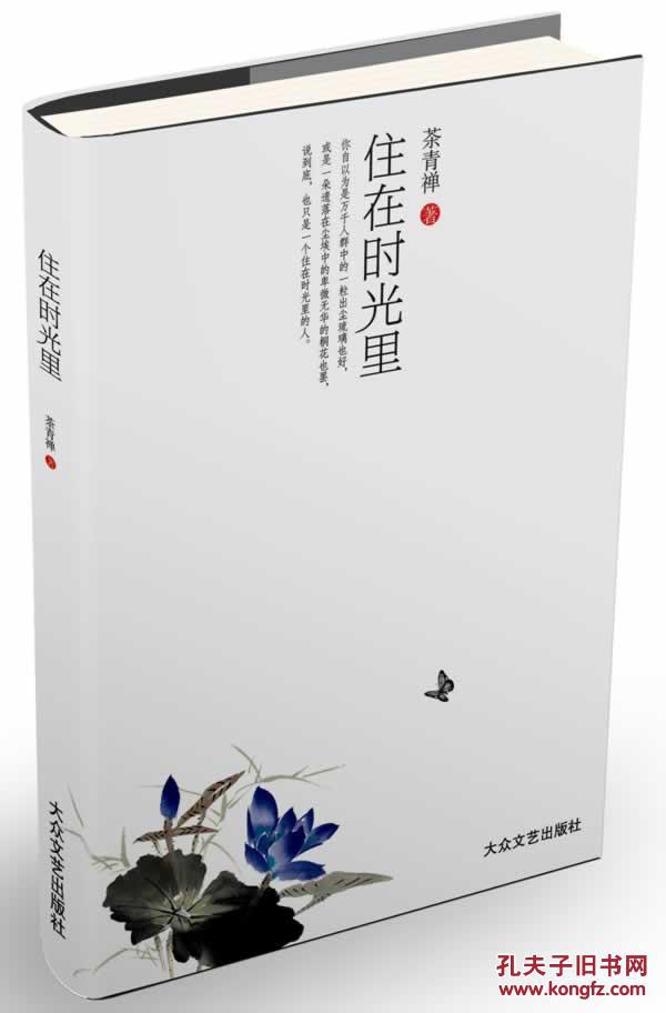 【形容时光飞逝的散文】