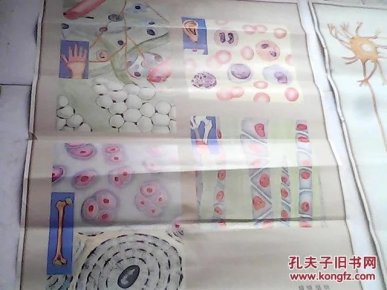 ooYBAFcLJGOAASB0AACmECr84LU069_n.jpg