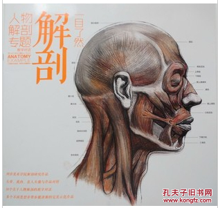 一目了然教学对话人物解剖专题正侧面头部解剖头骨肌肉真人头像与